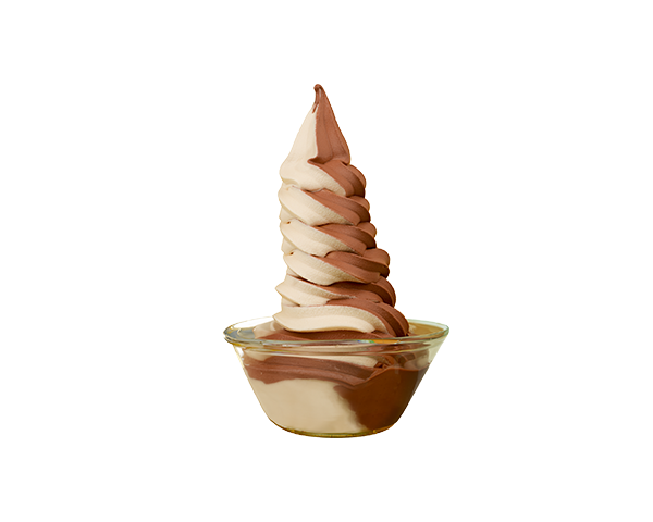 Classic Chocolate Vanilla Ice Cream